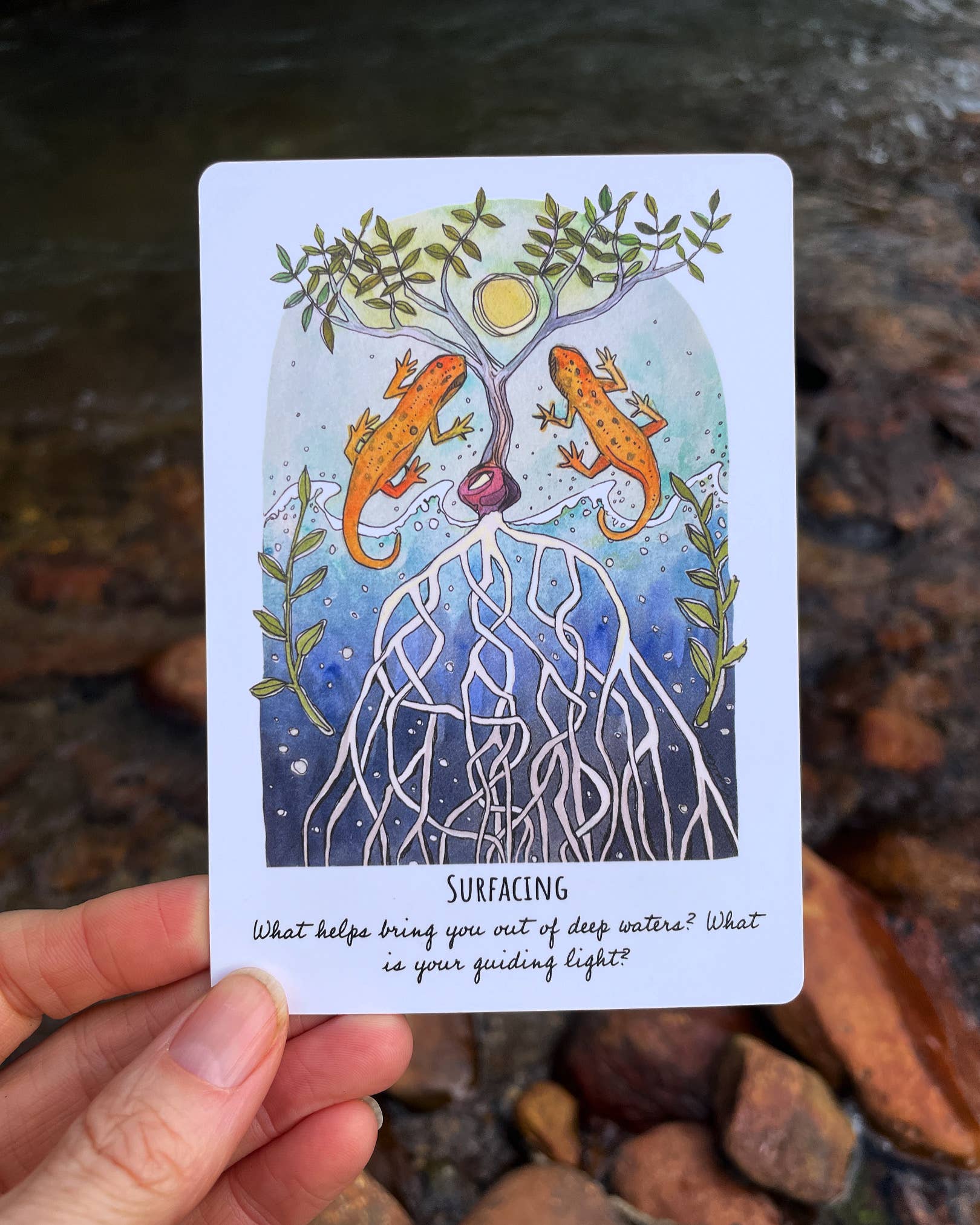 Phases and Forests Oracle Deck - Image 5